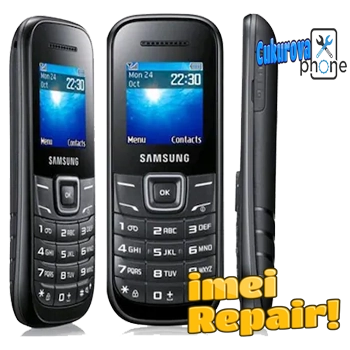 Samsung E1205Y IMEI Repair