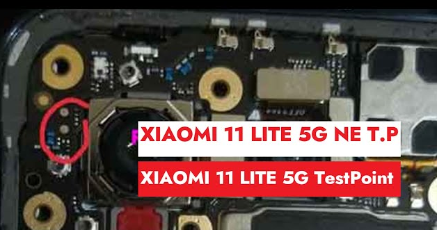 Xiaomi Mi 11 Lite 5g Ne (Lisa)